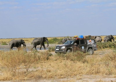 botswana_2015_28